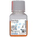 Mouse Serum, EU Approved, Sterile Filtered, 100 ml