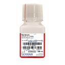 Rat Serum, EU Approved, Sterile Filtered, 100 ml