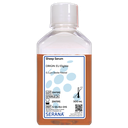 Sheep Serum, EU Approved, Sterile Filtered, 500 ml