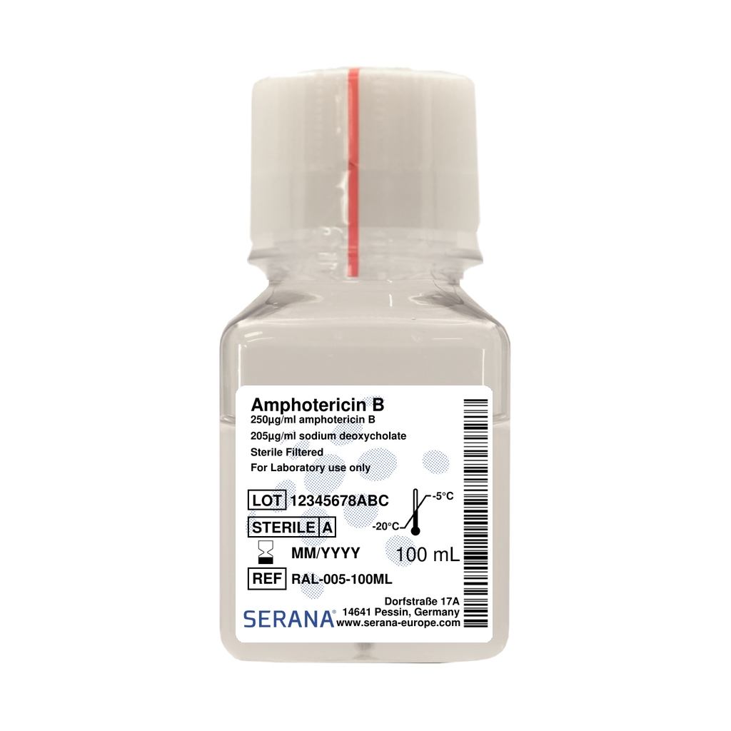 Amphotericin B Solution, Sterile Filtered, 100 ml