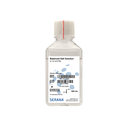 BBL-002-500ML.png
