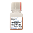 Porcine Serum, EU Approved, Sterile Filtered, 100 ml