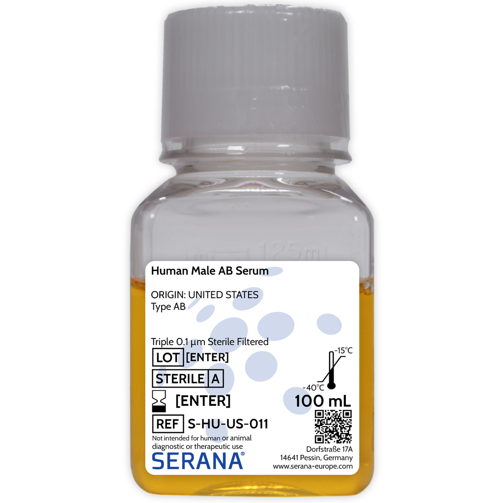 Human Serum, Male AB, Sterile Filtered, 100 ml