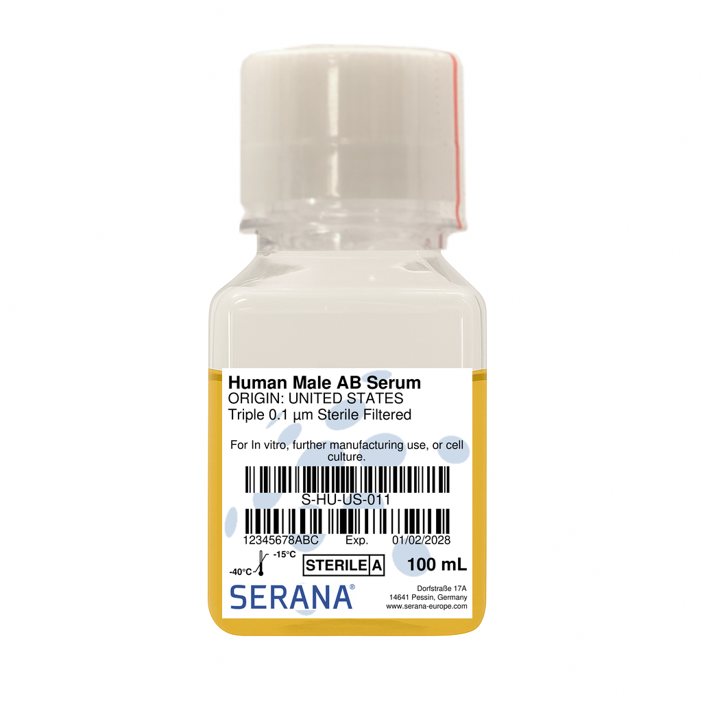 Human Serum, Male AB, Sterile Filtered, 100 ml
