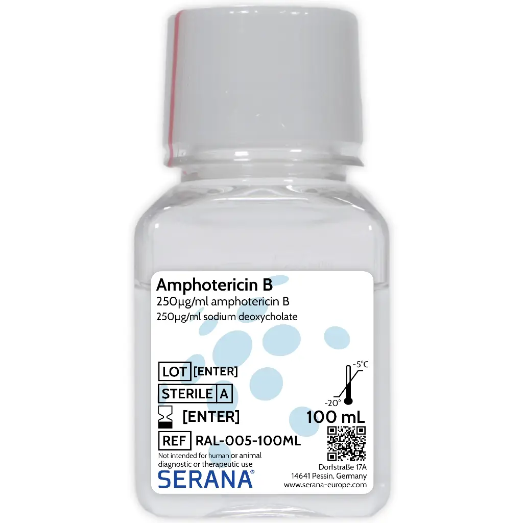 Amphotericin B Solution, Sterile Filtered, 100 ml