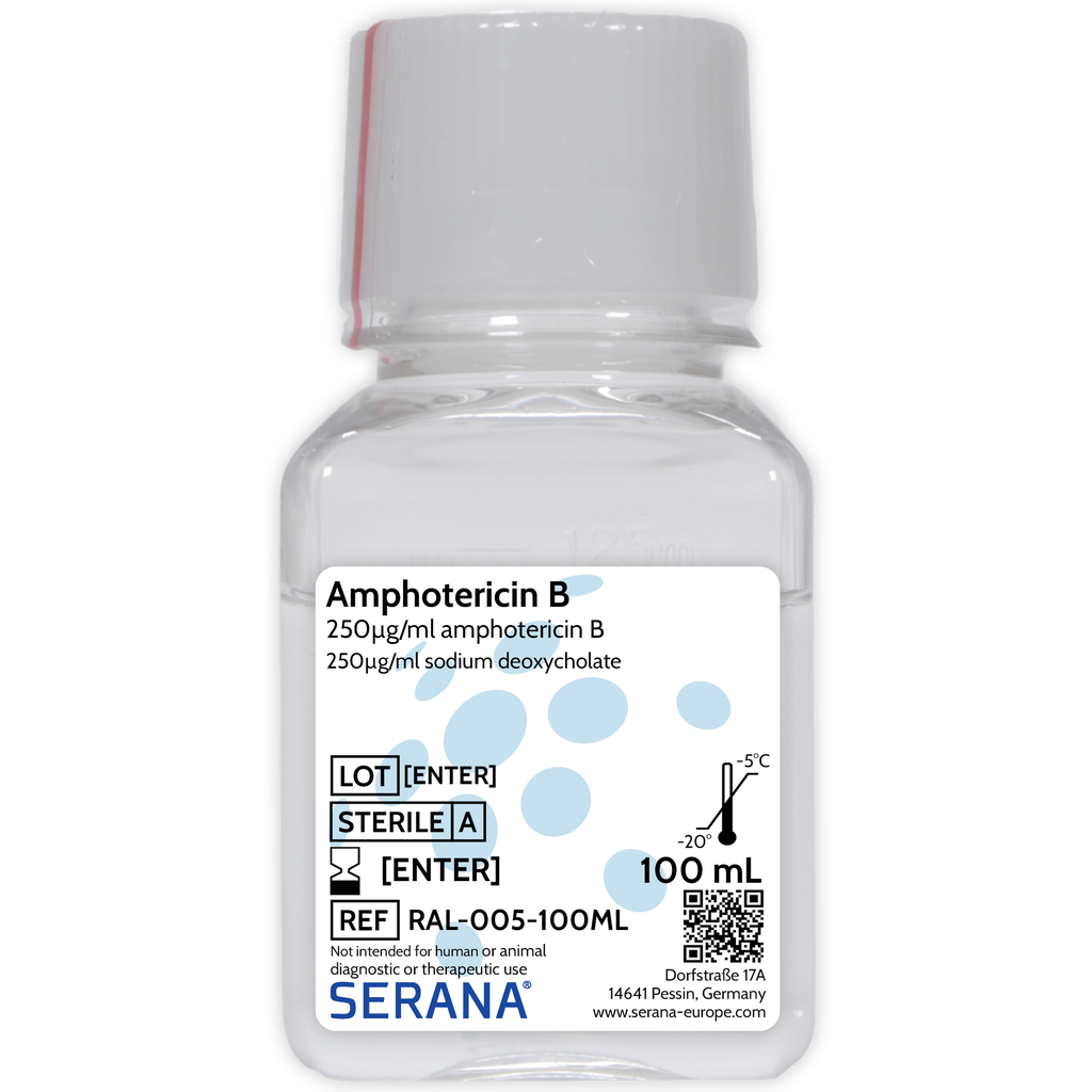 Amphotericin B Solution, Sterile Filtered, 100 ml