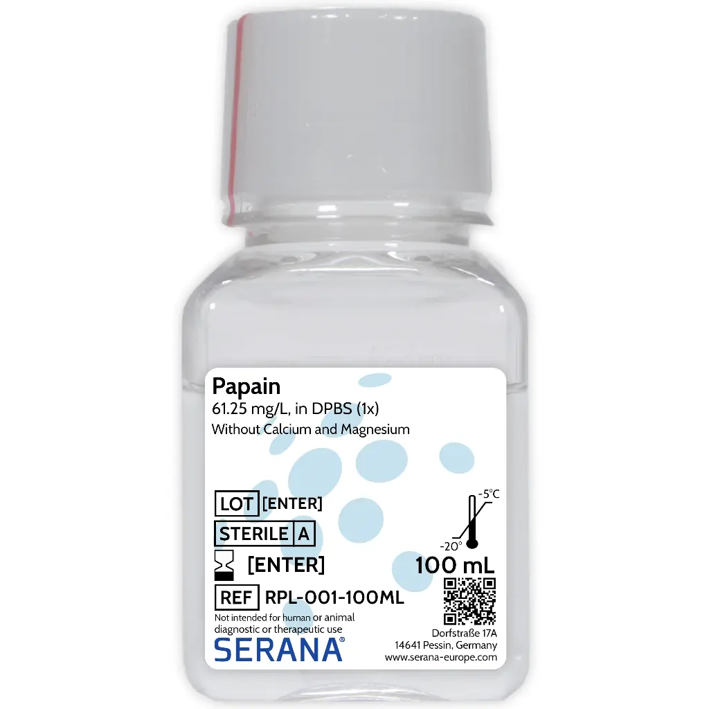 Papain Solution, Sterile Filtered, 100 ml