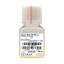 Human Serum, Sterile Filtered, 20 ml