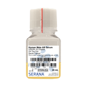 Human Serum, Sterile Filtered, 20 ml