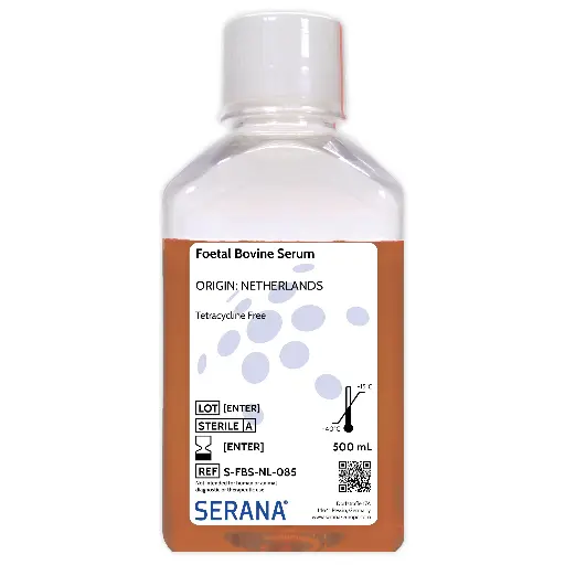 [S-FBS-NL-085] Fetal Bovine Serum, Netherlands, Tetracycline Free, 500 ml