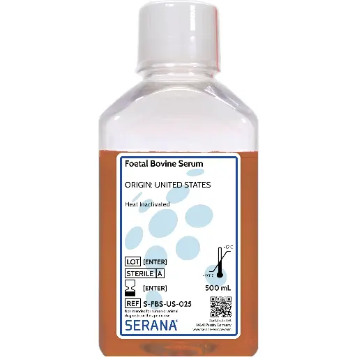 [S-FBS-US-025] Fetal Bovine Serum, United States, Heat Inactivated, 500 ml