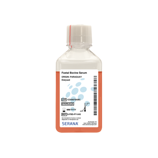 [S-FBS-PY-045] Fetal Bovine Serum, Paraguay, Charcoal Stripped, 500 ml